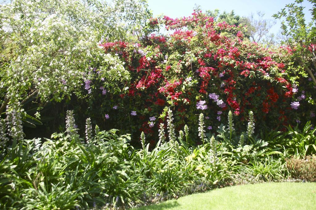Melville Manor Guest House Johannesburg Buitenkant foto