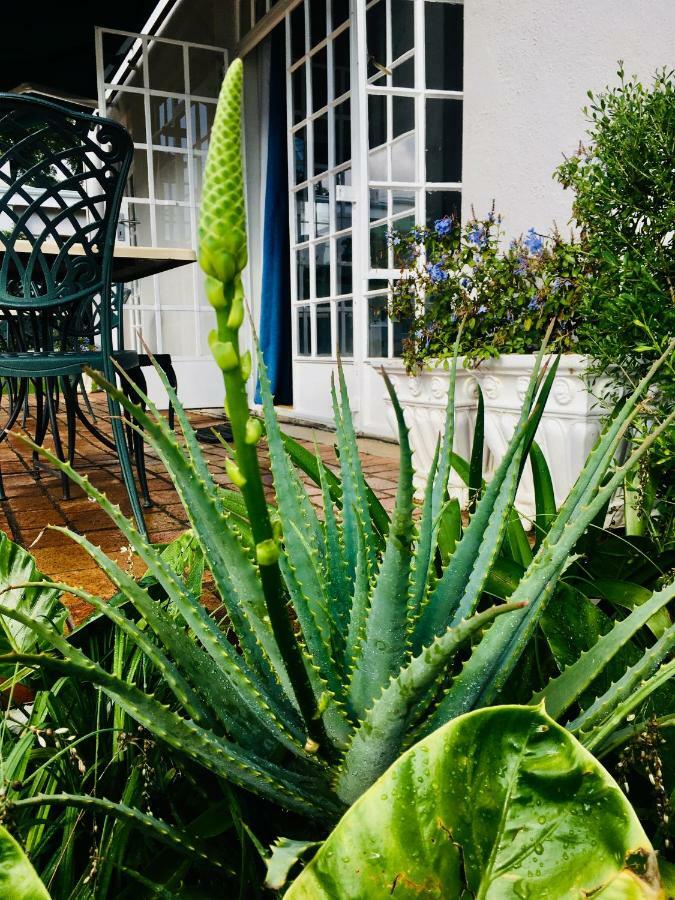 Melville Manor Guest House Johannesburg Buitenkant foto